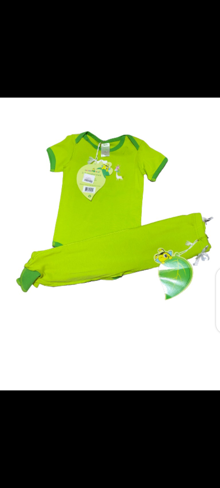 1781008 Greenie 12_18 m
